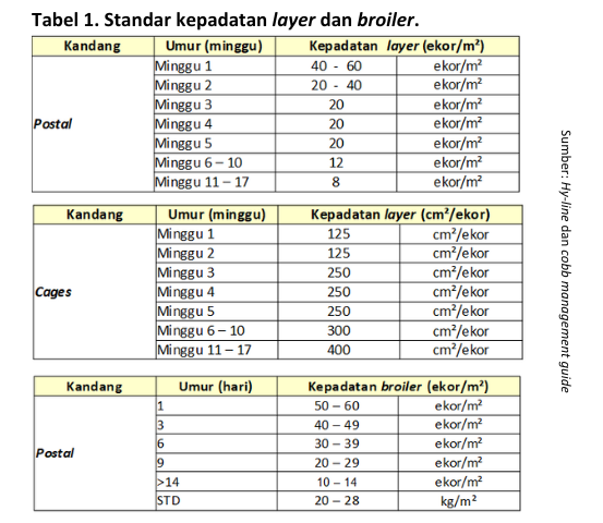 Faktor Penting Kandang Closed House Menghadapi Suhu Ekstrem 12 12 e1748572108193