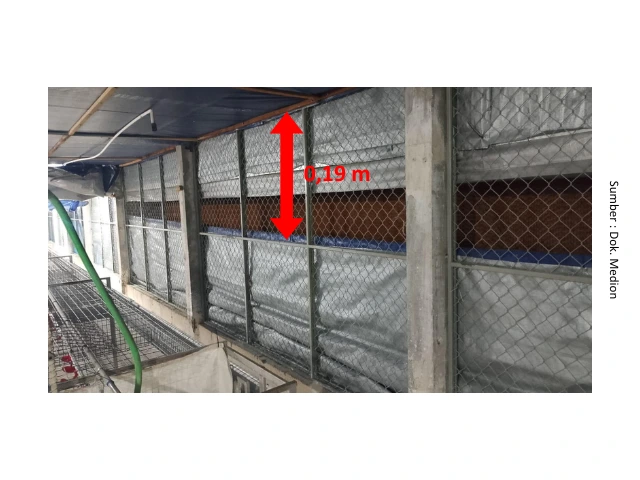 Faktor Penting Kandang Closed House Menghadapi Suhu Ekstrem 8 AU 8