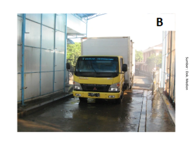 Mengenal Dysbacteriosis Pada Unggas 16 AU13
