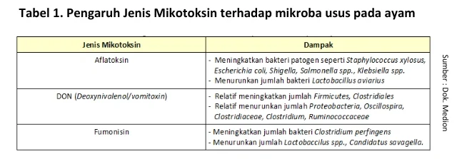 Mengenal Dysbacteriosis Pada Unggas 2 AU2 e1746183602970