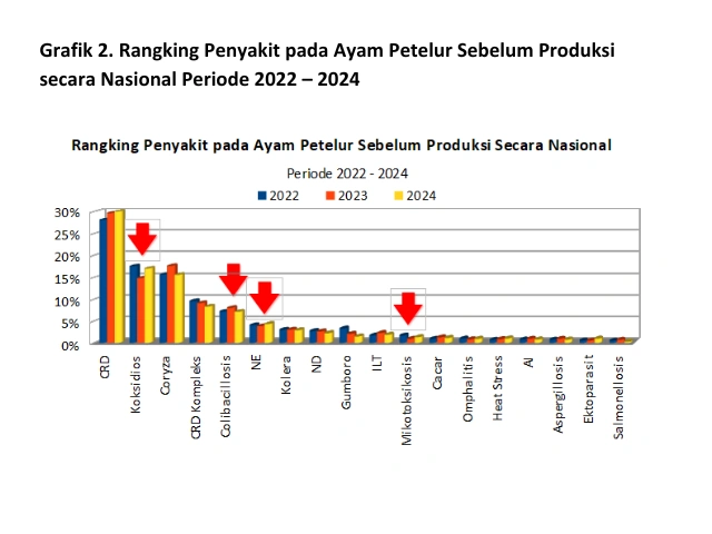 Mengenal Dysbacteriosis Pada Unggas 13 AU20