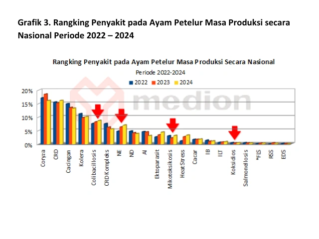Mengenal Dysbacteriosis Pada Unggas 14 AU21