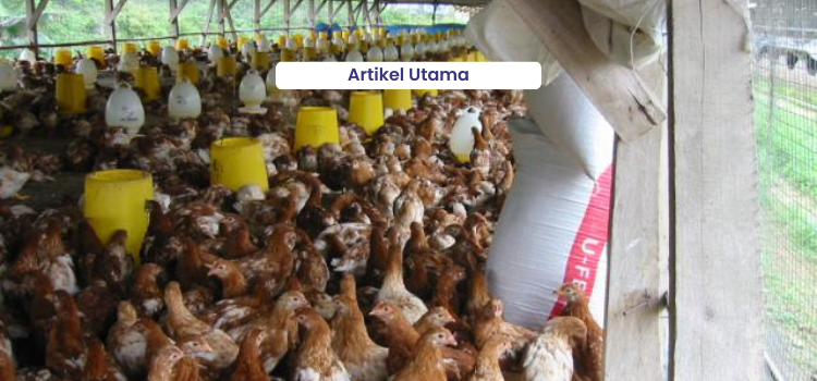 Mengenal Dysbacteriosis Pada Unggas 1 Artikel Utama