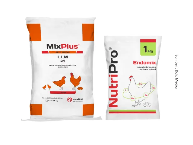 Suplementasi untuk Permasalahan Produksi Telur 9 SUP9