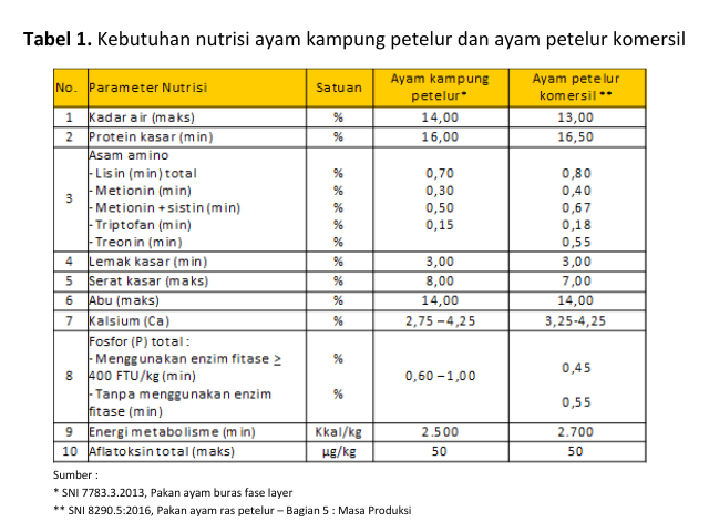 Prolapsus Setelah Pergantian Pakan Pada Ayam Kampung 2