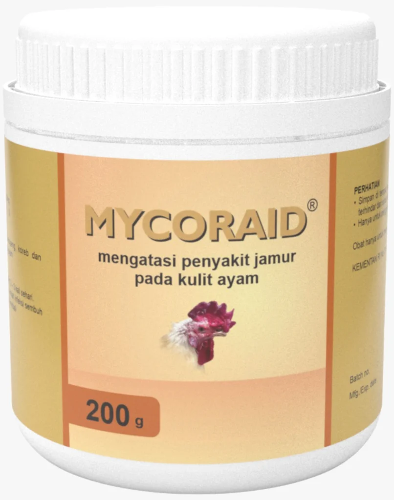 Penyakit Kurap atau Favus pada Ayam 7 non winner