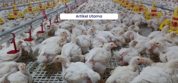 Artikel Utama