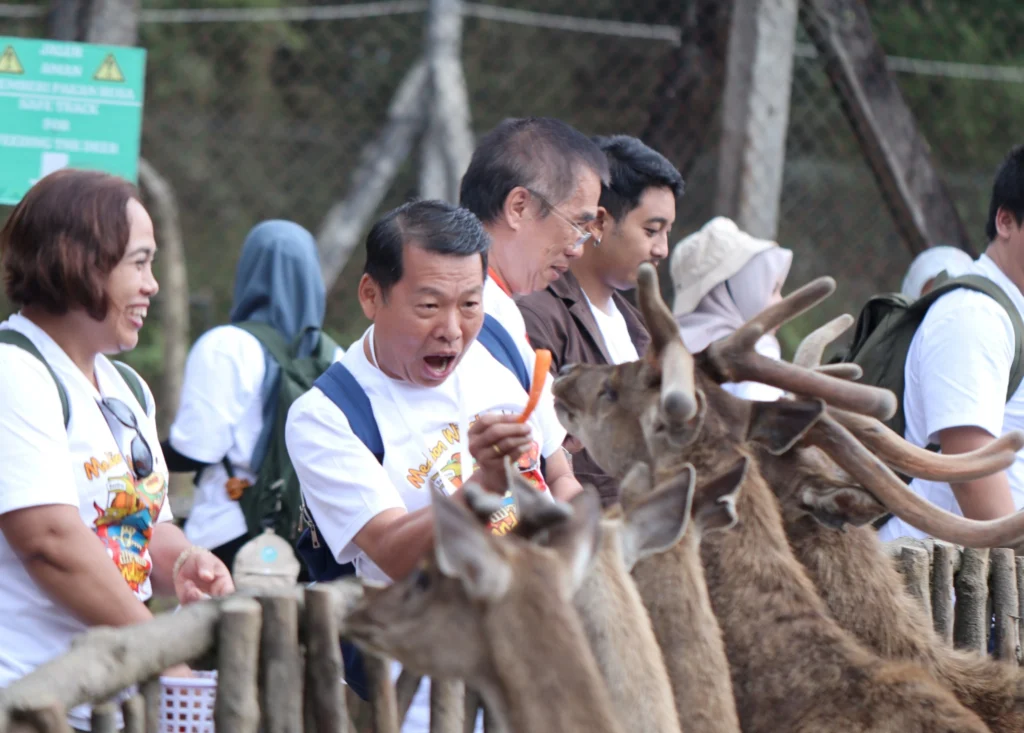 Ciptakan Momen Kebersamaan dengan Pelanggan di Medion Wisata 2025 6 Bali Berinteraksi dengan rusa