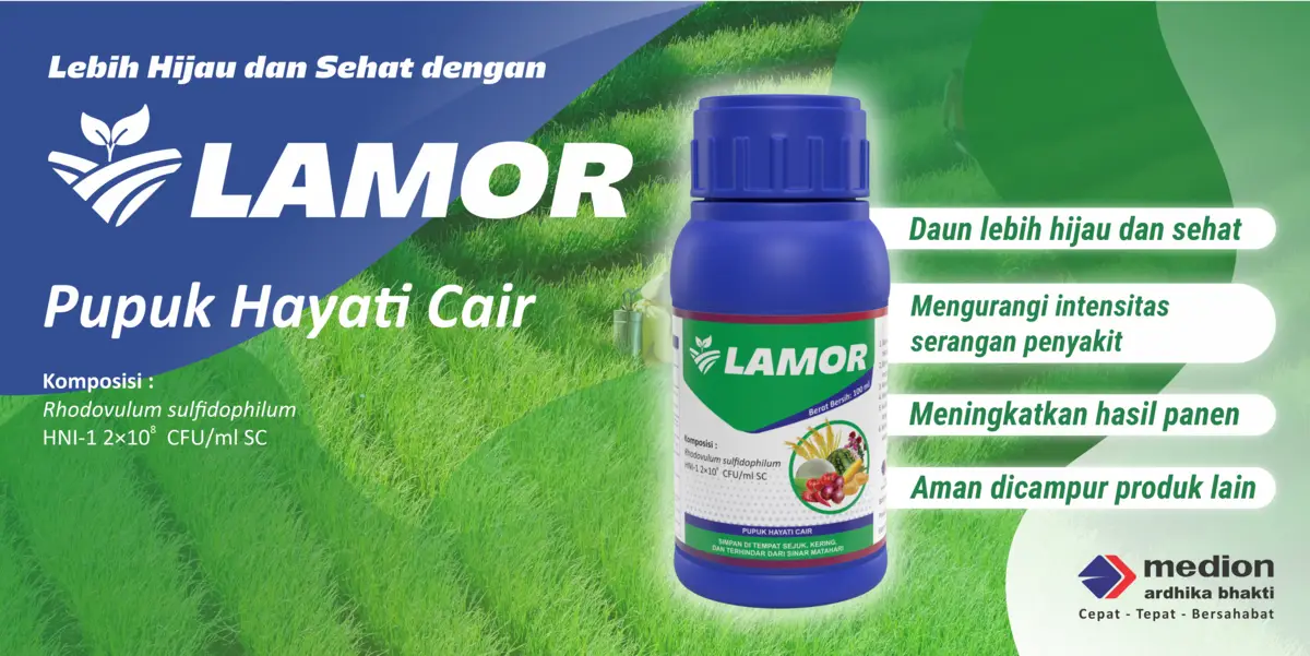 mengenal lamor, pupuk hayati cair dari Medion