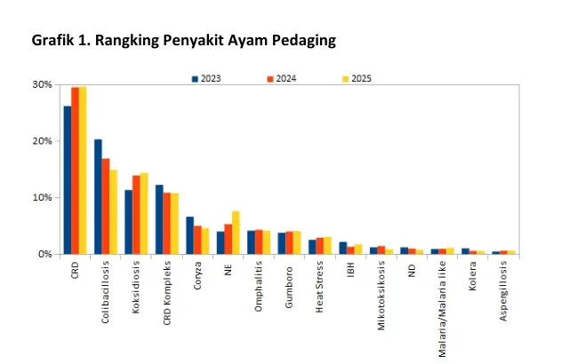 Penyakit Pencernaan pada Ayam 1 grafik ranking penyakit ayam pedaging