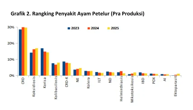 Penyakit Pencernaan pada Ayam 2 grafik ranking penyakit ayam petelur (pra produksi)