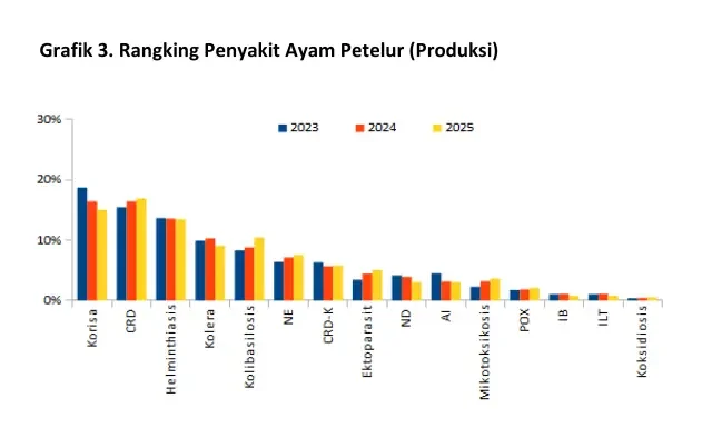 Penyakit Pencernaan pada Ayam 3 grafik ranking penyakit ayam petelur (produksi)
