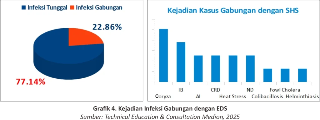Egg Drop Syndrome dan Langkah Pencegahannya 7 AU 7 1