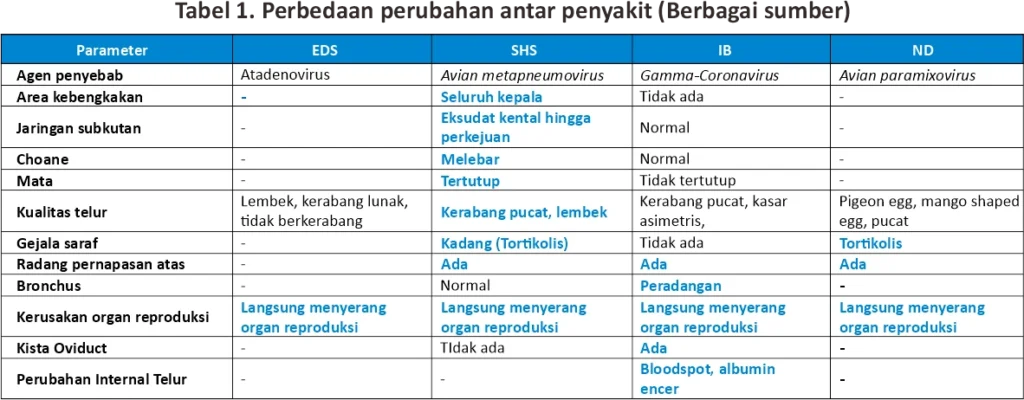 Egg Drop Syndrome dan Langkah Pencegahannya 8 AU 8