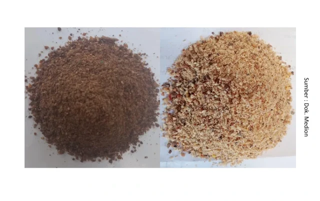 Penggunaan Limbah Wafer/Biskuit pada Pakan Ayam Petelur 1 FFB1 e1759306879982