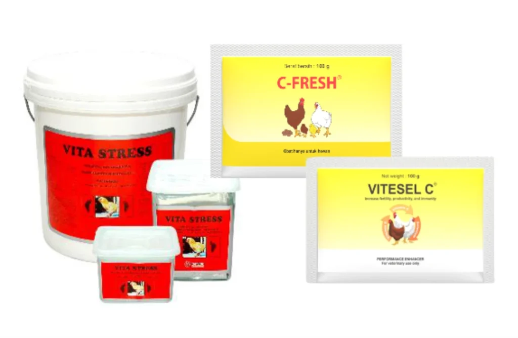 Efek Samping Pemberian Vitamin C Berlebih 2 KT 2