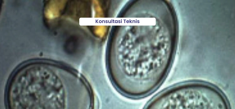 Konsultasi Teknis