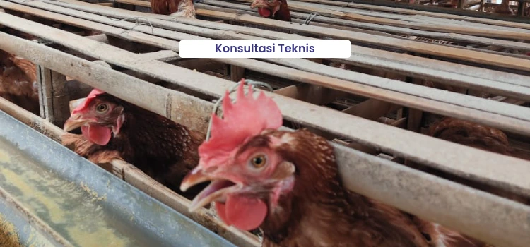 Konsultasi Teknis