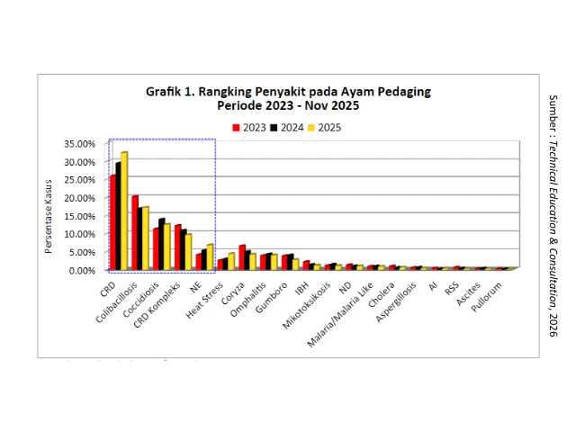 Kilas Analisa Penyakit Unggas 2025 & Proyeksi Penyakit 2026 1 AU 1