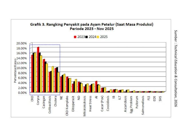 Kilas Analisa Penyakit Unggas 2025 & Proyeksi Penyakit 2026 3 AU3