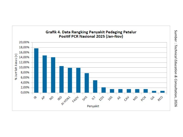 Kilas Analisa Penyakit Unggas 2025 & Proyeksi Penyakit 2026 4 AU4