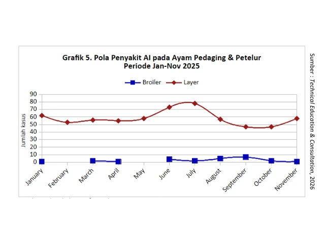 Kilas Analisa Penyakit Unggas 2025 & Proyeksi Penyakit 2026 5 AU5