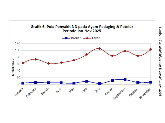 Kilas Analisa Penyakit Unggas 2025 & Proyeksi Penyakit 2026 6 AU6