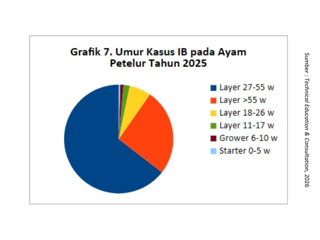 Kilas Analisa Penyakit Unggas 2025 & Proyeksi Penyakit 2026 7 AU7