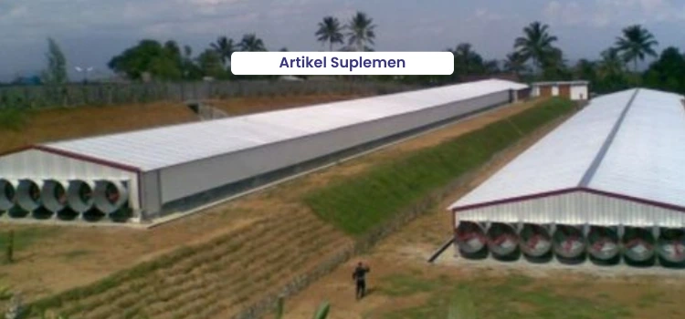 Artikel Suplemen