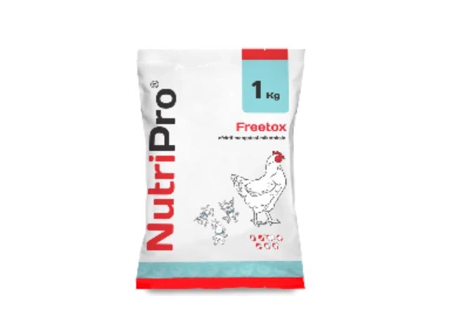 Analisa 2025 dan Tantangan Pakan di Perunggasan 2026 6 sup 5