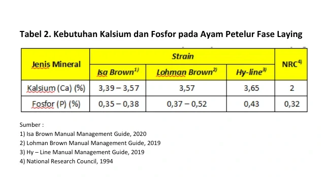 FFB 5 e1770367054219