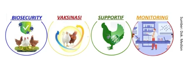 SUP 5 e1772066475301