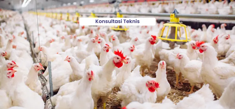 Technical Consulting