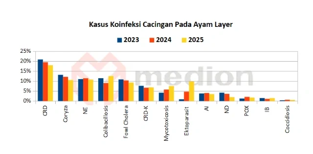 Cacingan pada Ayam Petelur : Dampak terhadap Performa dan Strategi Pengendaliannya 5 au 5 e1775440753166