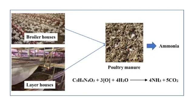 sup 1 e1775438127540