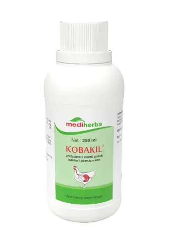 sup 4 e1775438295144