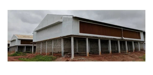 au 6 1 e1779930208407
