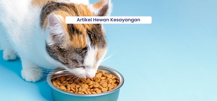 Artikel Hewan Kesayangan