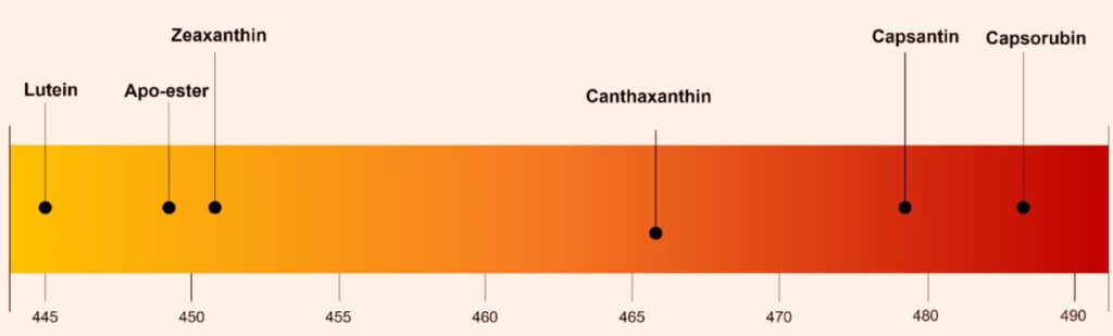 supplement table chart