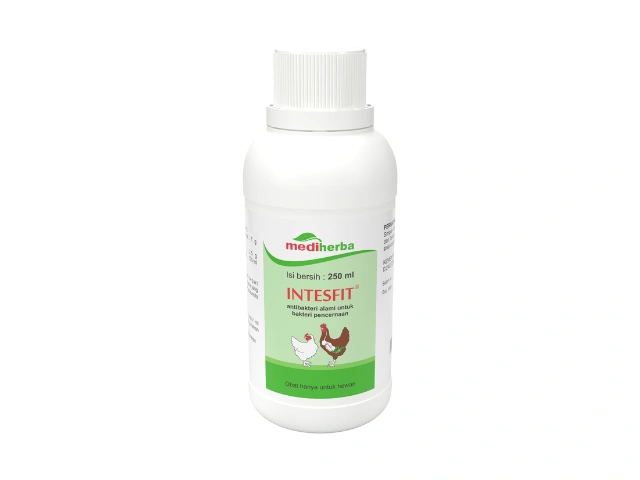 Address Digestive Issues That Disrupt Layer 11 Productivity it is interesting