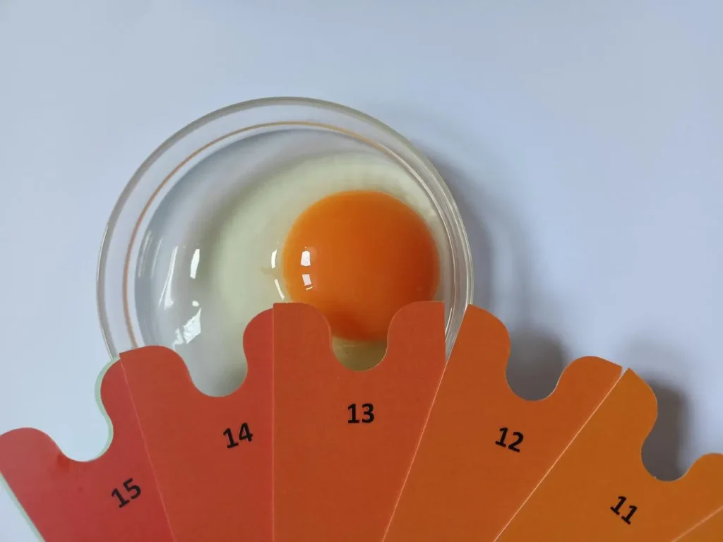 egg supplement