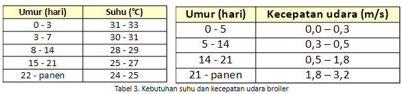 Langkah Tepat Memaksimalkan Periode Brooding Broiler 13 13
