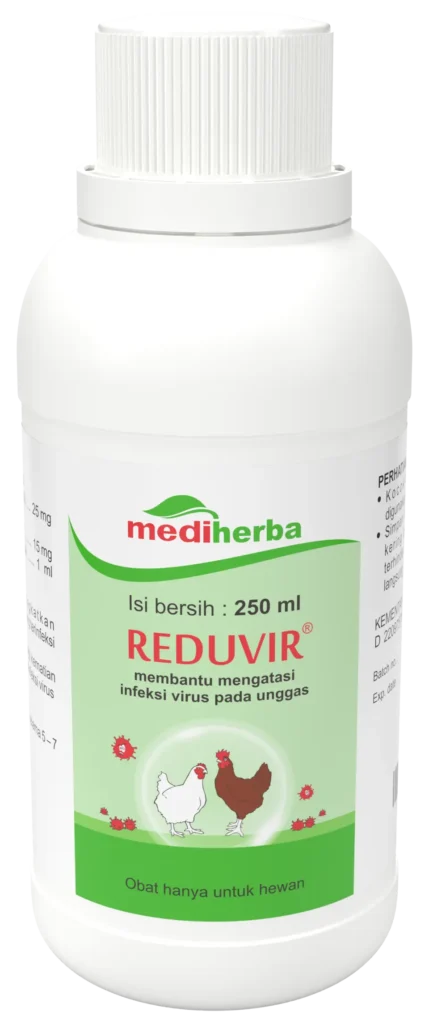 Mengenal IBD Variant 3 reduvir