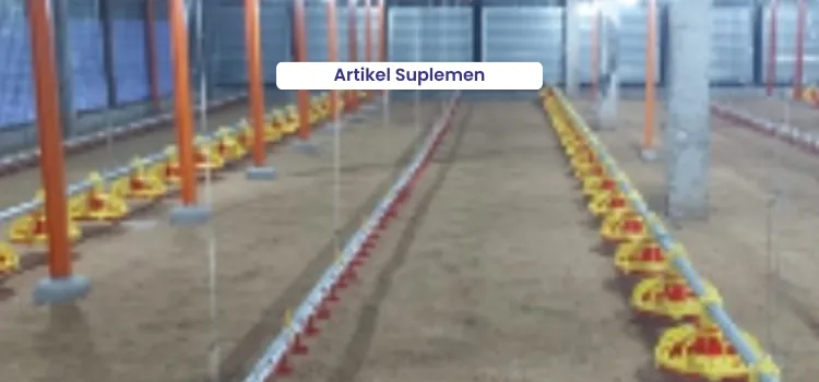 Artikel Suplemen