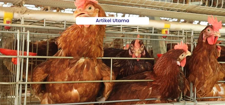 artikel utama