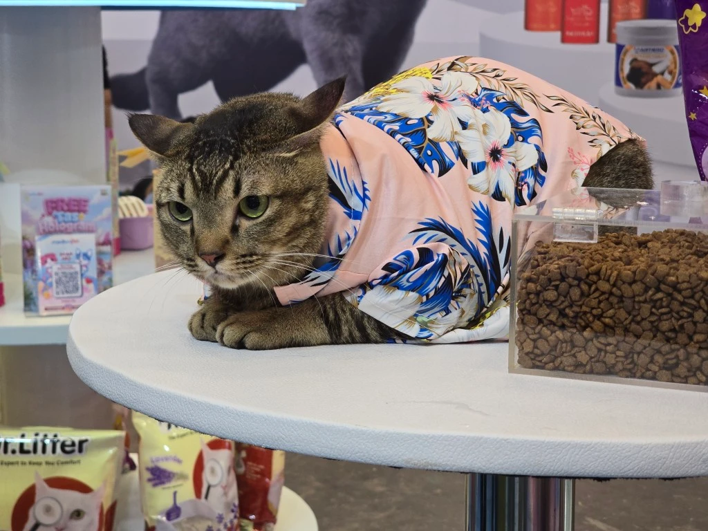 Medionpet Hadir Perdana di IIPE 2026, Hadirkan Pengalaman Seru untuk Pet Lovers 8 Pet influencer BOntot Medium