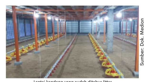 Persiapan Kandang Menghadapi Musim Hujan 1 Suplemen